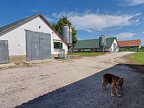 Eladó tanya/telep  Fejér megyében, az M7 autópályától 6 km-re lévő Gárdony-Dinnyésen