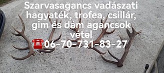 Agancs felvásárlás  Pécs   06-70-731-83-27