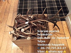 Agancs felvásárlás Veszprém 0670-731-83-27