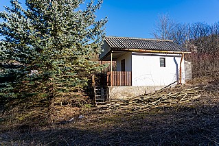 Vác - Zsobrák dűlő, földterület művelésre hosszú távra bérbe adó, 1 ha