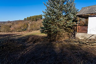 Vác - Zsobrák dűlő, földterület művelésre hosszú távra bérbe adó, 1 ha