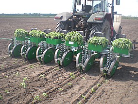 FEDELE PLANT fogóujjas palántázó