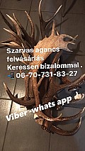 Agancs felvásárlás Pest megye  0670-731-83-27