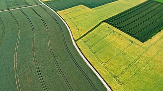 Monostorpályiban 3db mezőgazdasági ingatlan eladó.Együtt is.Tel:06-30-281-1033/06-30-360-0166