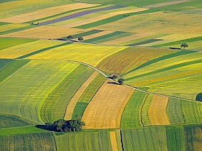 Monostorpályiban 3db mezőgazdasági ingatlan eladó.Együtt is.Tel:06-30-281-1033/06-30-360-0166