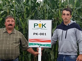 PK-001 Organikus Kukorica előrendelési AKCIÓ! Az igazi kukorica! SZEMES/SILÓ HASZNOSÍTÁSRA