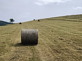 Bio réti széna eladó