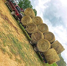 Hay Bales for sale near me whatsApp:+44 7857394899