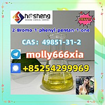 49851-31-2 	2-Bromo-1-phenyl-pentan-1-one