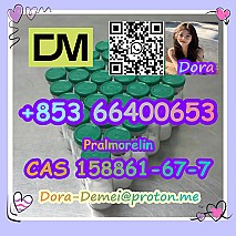 Pralmorelin CAS 158861-67-7