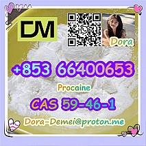 Procaine，CAS 59-46-1