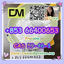 Procaine，CAS 59-46-1