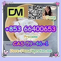 Procaine，CAS 59-46-1