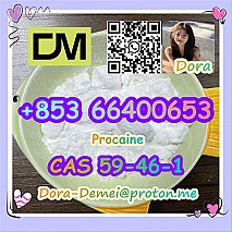 Procaine，CAS 59-46-1