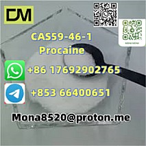 CAS59-46-1 Procaine vC13H20N2O2 door to door  delivery