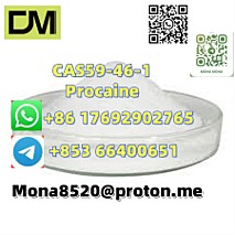 CAS59-46-1 Procaine vC13H20N2O2 door to door  delivery