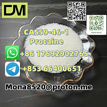 CAS59-46-1 Procaine vC13H20N2O2 door to door  delivery