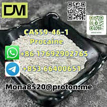 CAS59-46-1 Procaine vC13H20N2O2 door to door  delivery