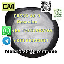 CAS59-46-1 Procaine vC13H20N2O2 door to door  delivery