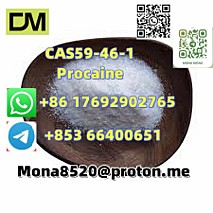 CAS59-46-1 Procaine vC13H20N2O2 door to door  delivery