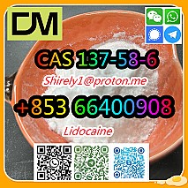 CAS 137-58-6 Lidocaine high quality good price