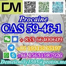 CAS 59-46-1 Procaine China factory supply lower price high purity high quality