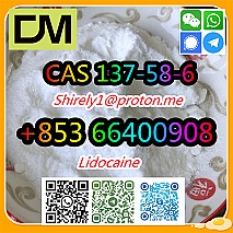 CAS 137-58-6 Lidocaine high quality good price