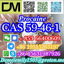 CAS 59-46-1 Procaine China factory supply lower price high purity high quality