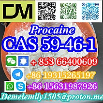 CAS 59-46-1 Procaine China factory supply lower price high purity high quality