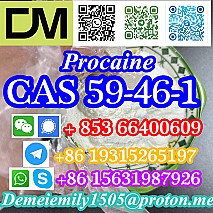 CAS 59-46-1 Procaine China factory supply lower price high purity high quality