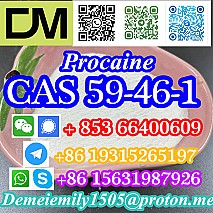 CAS 59-46-1 Procaine China factory supply lower price high purity high quality