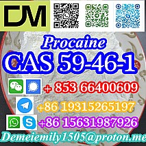 CAS 59-46-1 Procaine China factory supply lower price high purity high quality