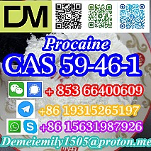 CAS 59-46-1 Procaine China factory supply lower price high purity high quality