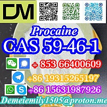 CAS 59-46-1 Procaine China factory supply lower price high purity high quality