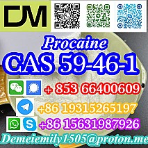 CAS 59-46-1 Procaine China factory supply lower price high purity high quality