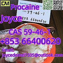 High quality Procaine CAS 59-46-1 white powder with good effect