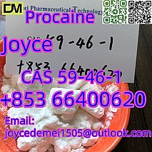 High quality Procaine CAS 59-46-1 white powder with good effect