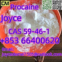 High quality Procaine CAS 59-46-1 white powder with good effect