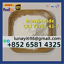 Manufacturer Supply Plant Powder Brassinolide Br CAS 72962-43-7