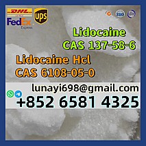 100% Customs Clearance Procaine Base/ Procaine Hcl CAS 59-46-1/51-05-8