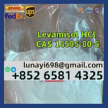 100% Customs Clearance Procaine Base/ Procaine Hcl CAS 59-46-1/51-05-8