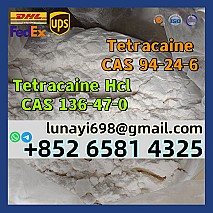 Europe 99.9% Pure tetracaine CAS 94-24-6 Tetracaine HCl CAS 136-47-0 100% Pass Customs