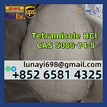 Europe 99.9% Pure tetracaine CAS 94-24-6 Tetracaine HCl CAS 136-47-0 100% Pass Customs