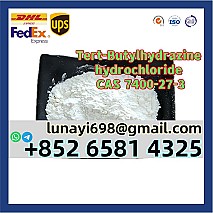 Veterinary Drug Medicine CAS 54965-21-8 Albendazole Raw Material Albendazole Powder