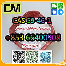 CAS 59-46-1 Procaine with high quality hot sale stock and safe fast delivery