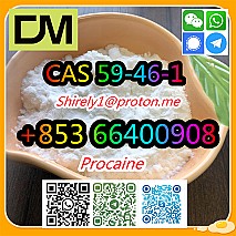 CAS 59-46-1 Procaine with high quality hot sale stock and safe fast delivery