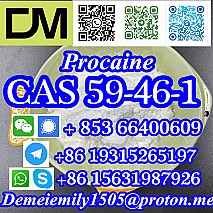 CAS 59-46-1 Procaine China factory supply lower price high purity high quality