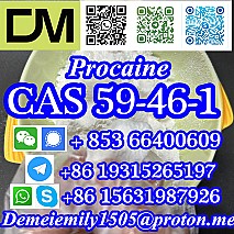 CAS 59-46-1 Procaine China factory supply lower price high purity high quality