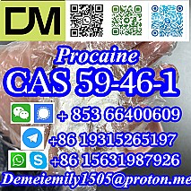 CAS 59-46-1 Procaine China factory supply lower price high purity high quality