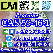 CAS 59-46-1 Procaine China factory supply lower price high purity high quality